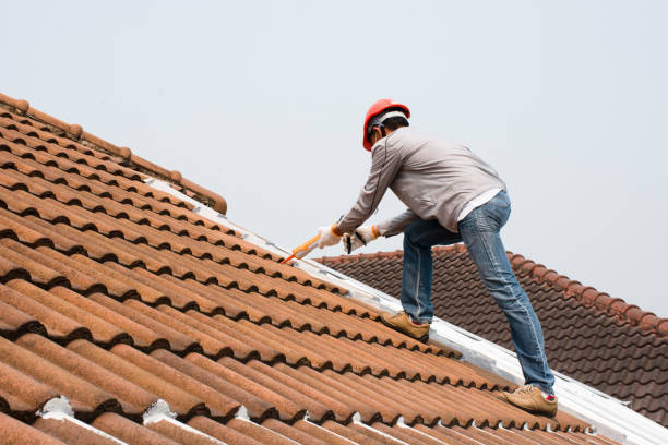 Best Emergency Roof Repair  in Lakeland North, WA